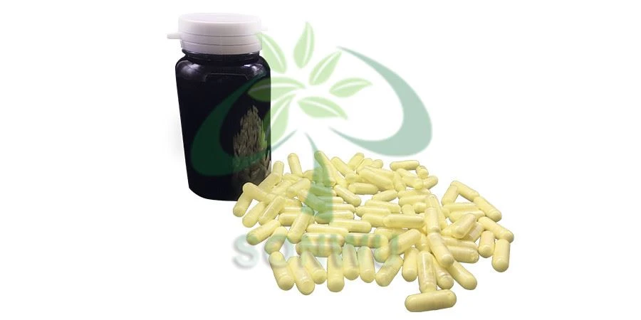 MK 677 capsule
