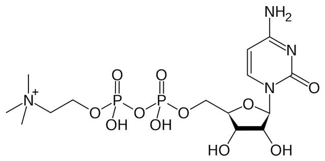 Citicoline powder structure
