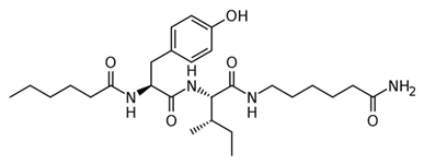 dihexa structures dihexa structures