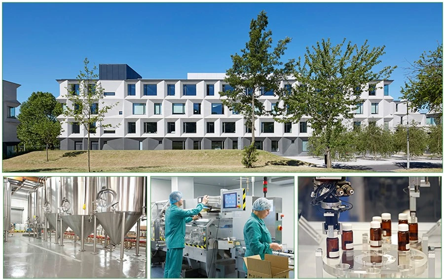Baicalin factory