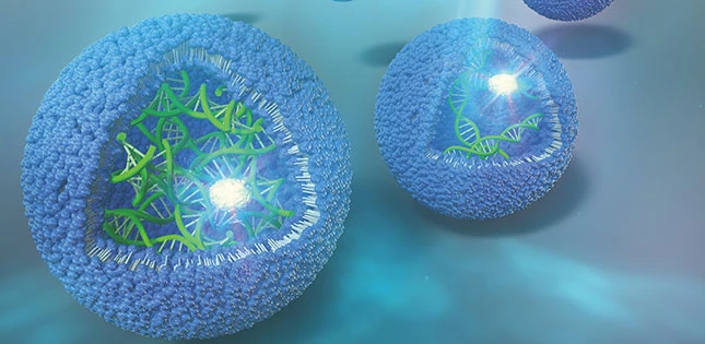 DNA Amplification