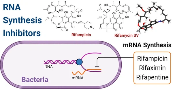 QQ20231109161716 QQ20231109161716