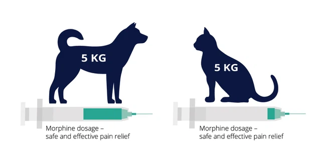 HOND-KAT-ENG HOND-KAT-ENG