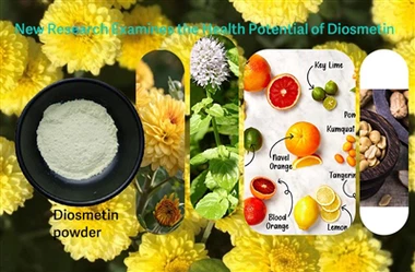 يدرس الباحثون الدور المحتمل للديوسميتين في مكافحة الإجهاد التأكسدي