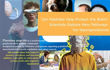 هل يمكن للببتيدات المساعدة في حماية الدماغ؟ يستكشف العلماء مسارات جديدة للوقا...