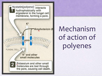 7199 powder Nystatin 7199 powder Nystatin